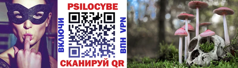 Псилоцибиновые грибы Cubensis  Гулькевичи 