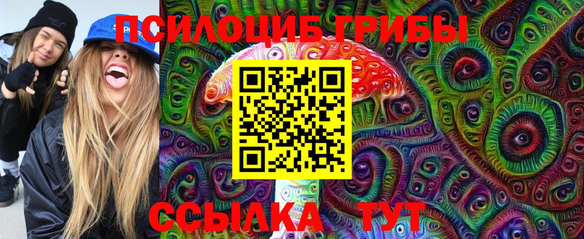 Гулькевичи  Псилоцибиновые грибы Cubensis  Вход с VPN  Галлюциногенные грибы Psilocybine cubensis 
